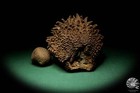 Foto 3 di 5