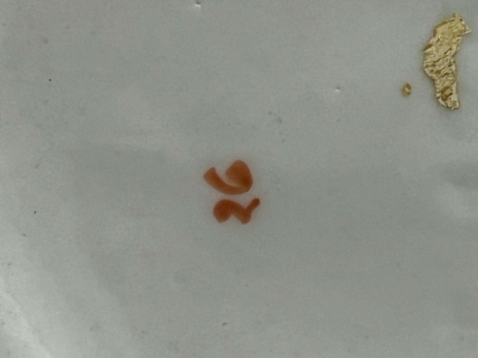 Foto 10 di 11