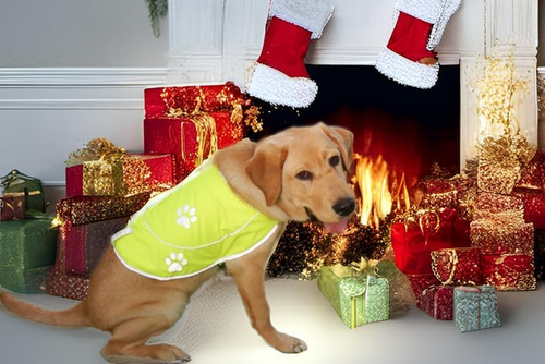 Dog Reflective Vest - Comfortable Jacket Safety Hunting, High Visibility for Dog - Picture 9 of 12