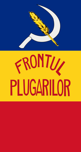 Rumänien Flagge Eiserne Garde Legionärsbewegung Frontul Plugarilor PCR PND PNL PNT - Bild 8 von 12