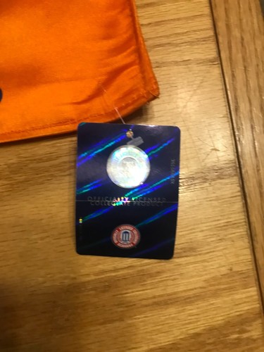 Car Window Flags - NCCA Team Logo 2-side - Illinois Fighting Illini - Picture 3 of 5