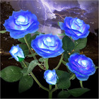 Outdoor Solar Garden Stake Lights,Upgraded LED Solar Powered Light with 6 Rose F