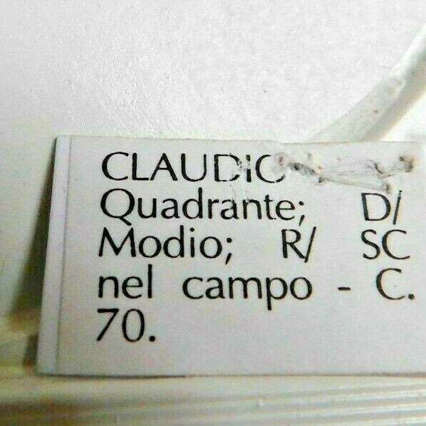 Foto 3 di 3