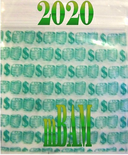 "Paquete de 100 cerdos 2020 mini bolsas con cremallera Apple 2,0x2,0" - Imagen 11 de 12