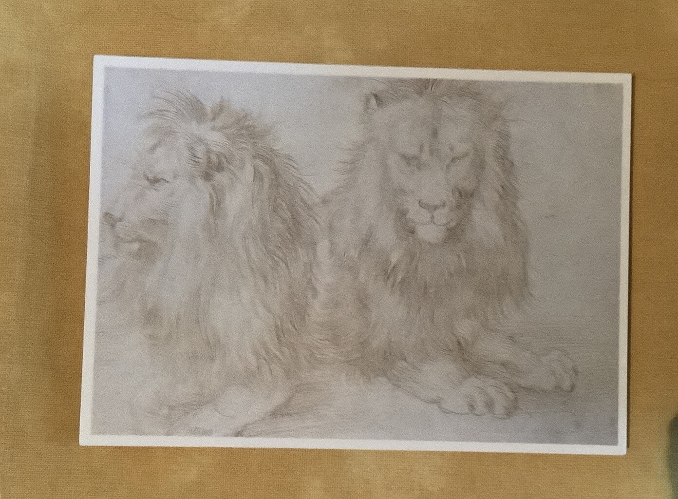 Bild 1 von 2