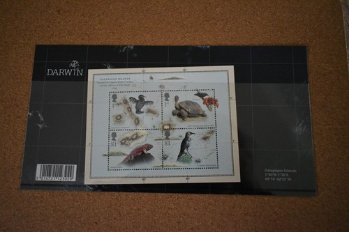 GB Presentation Packs: 2007, 2008, 2009, Sold Individually, MNH, Mint, Postage - Picture 29 of 42