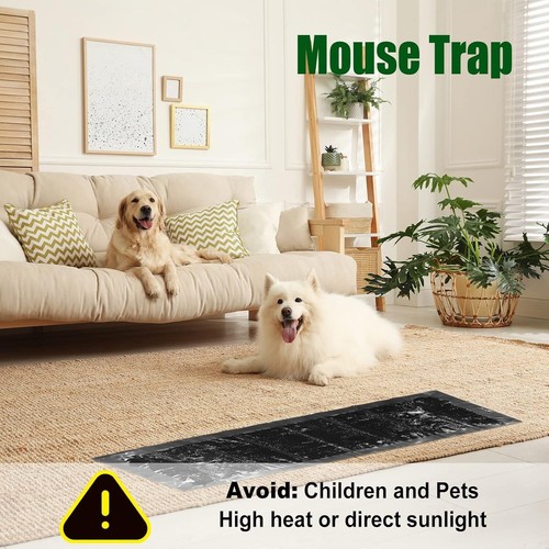 8 Pack SUPER Sticky LARGE Mouse Mice Rat Glue Pest Trap Boards Insect Catcher... - Picture 6 of 22