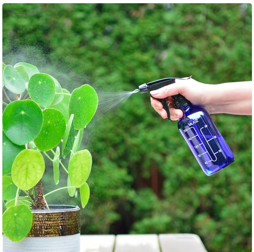 Youngever 4 Pack 500ML Empty Glass Spray Bottles with Measurements