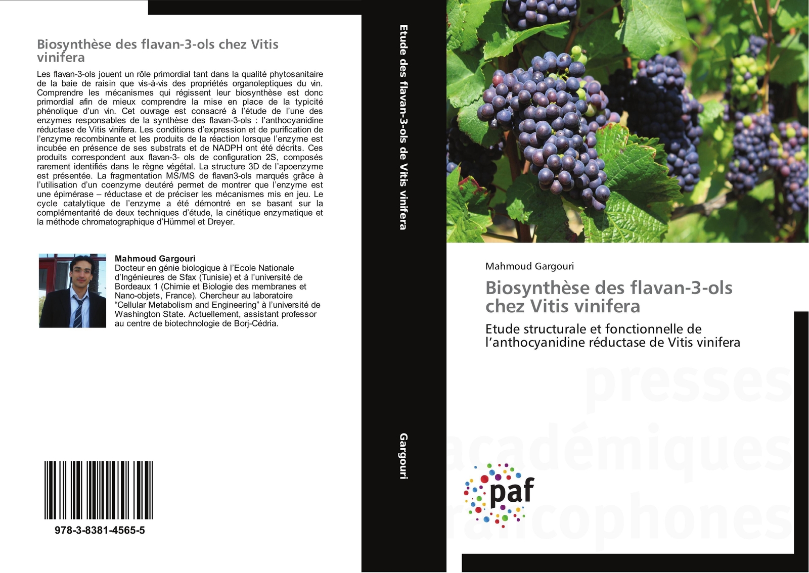 Thumbnail - Biosynthèse Des Flavan-3-ols Chez Vitis Vinifera Mahmoud Gargouri