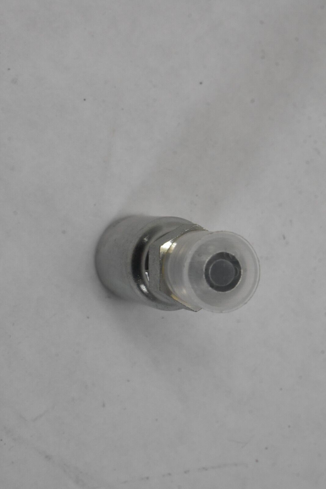Picture 4 of 6