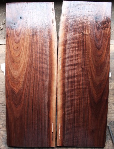 Curly figured black walnut drop top tonewood guitar .31" 2514 - Picture 8 of 12