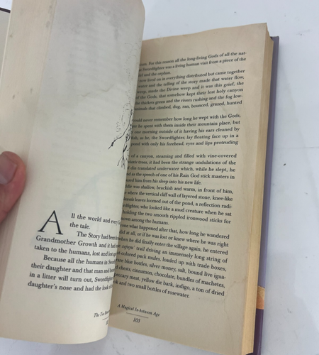 The Toe Bone and the Tooth: An Ancient Mayan Story | Water Damage - Picture 8 of 8