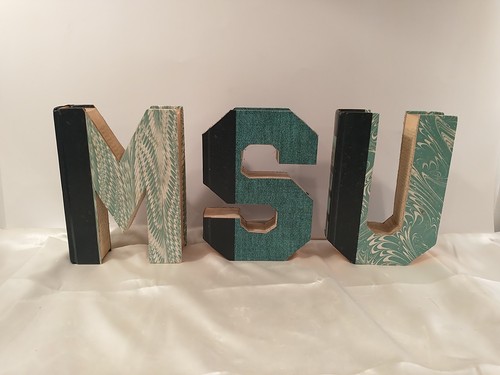 Decor MSU Mich State Univ Cut Letters Readers Digest Condensed Books Dorm Grad - Picture 5 of 15
