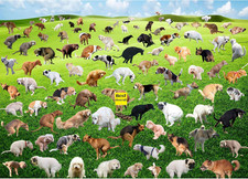 1000 Pieces Puzzles for Adults, Pooping Puppies Puzzle1000 Pieces Dogs Jigsaw