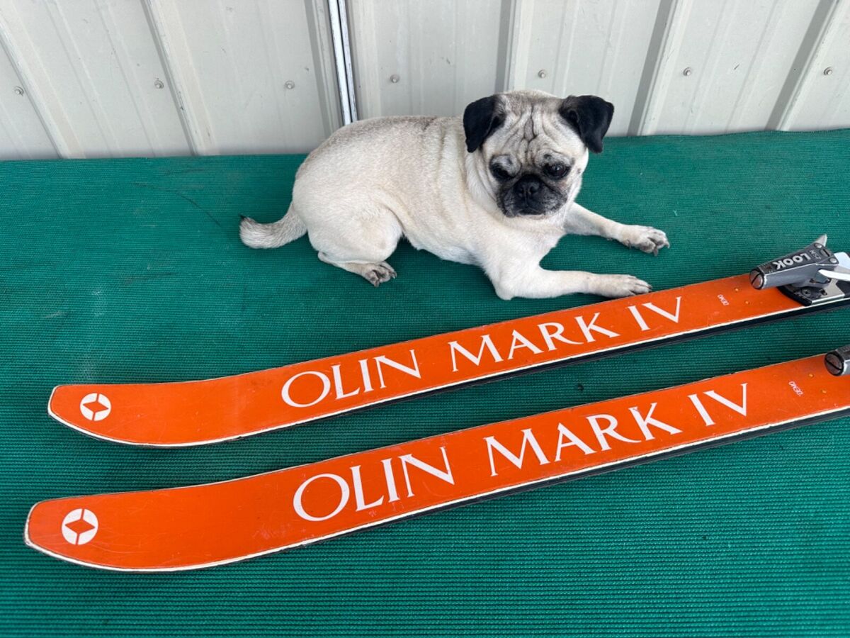 Vintage Olin Mark IV Downhill Skis 180 cm Look Bindings Vintage Olin Mark IV Downhill Skis 180 cm Look Bindings