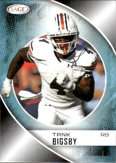 2023 SAGE High Series Tank Bigsby #170