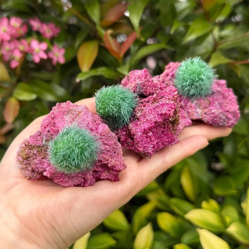 Roher indischer Löwenzahn Zeolith Quarz seltenes Mineral Gestein Präparat Geschenk 50-80g - Bild 7 von 14