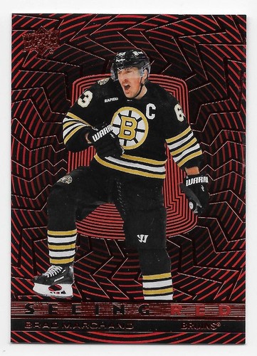 23/24 UPPER DECK EXTENDED SEEING RED Hockey (#SR1-SR100) U-Pick From List - Picture 25 of 64