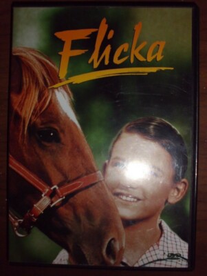 Flicka 