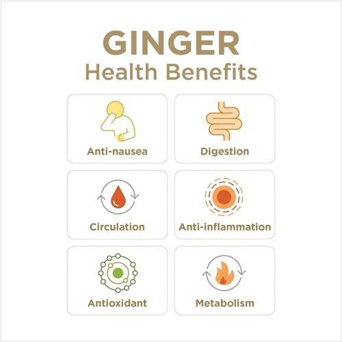 GIN GINS Super Strength – Natural Ginger Candy by – Individually Wrapped ... - Picture 3 of 6