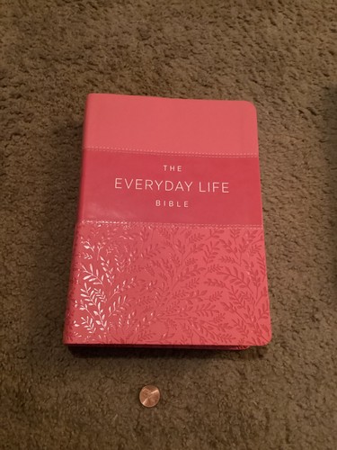 Vtg Joyce Meyer The Everyday Life Bible Fashion Edition Pink Silver Edged 2018 - Picture 2 of 9