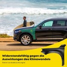 Bild 7 von 8