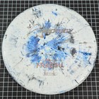 Bild 31 von 31