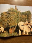 Picture 6 of 23