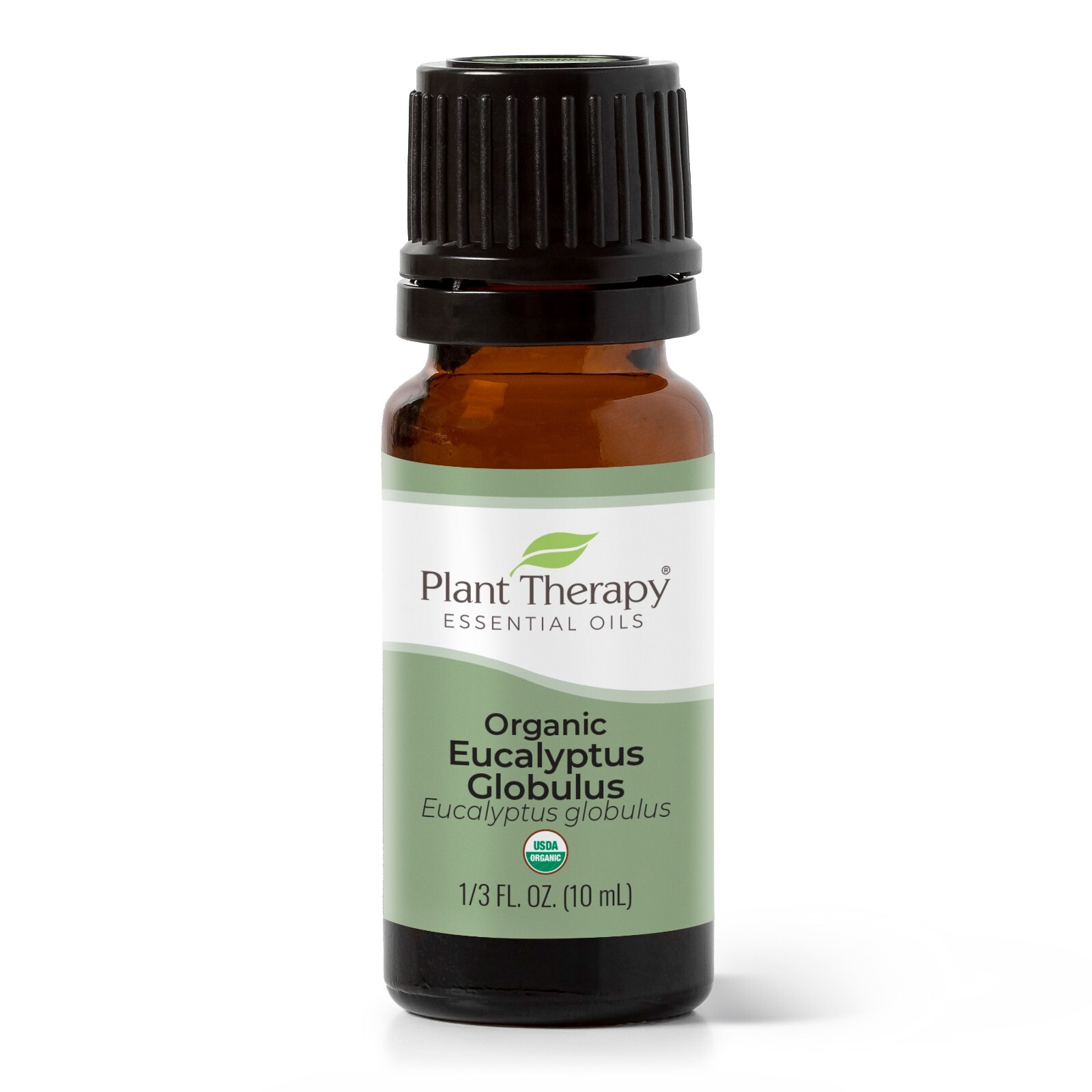 Plant Therapy Organic Eucalyptus Globulus Essential Oil 100% Pure, Undiluted - Picture 3 of 8