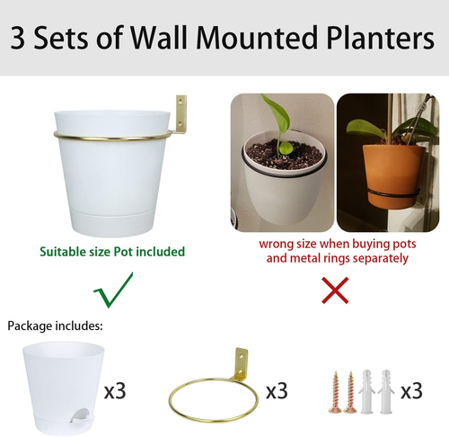 Wall Planters for Indoor Plants 3 Pack 6 Inch Flower Pot Holders Metal Ring with - Picture 6 of 12
