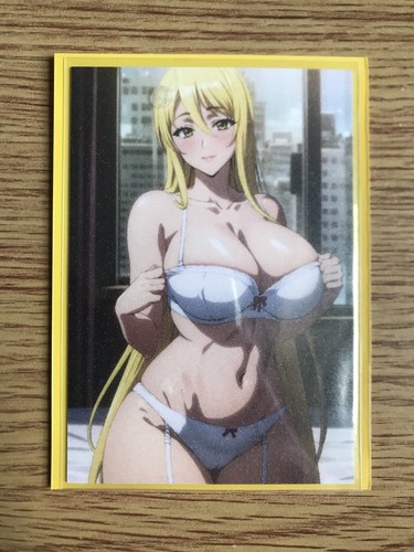 High School Of The Dead Shizuka Marikawa Reizwäsche Waifu Doujin fast neuwertig Karte - Bild 10 von 10