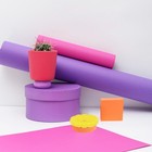  6 Pcs Obstscheibenmodelle Aus Kunststoff Gefälschte Plastikananasscheiben Faux