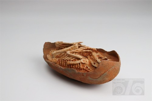Jushi Studio Velociraptor Dinosaur Egg Fossils Model Dinosaur Statue New Stock - Picture 11 of 14