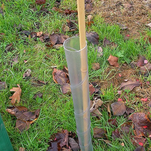 CLEAR SPIRAL TREE GUARDS PLANT RABBIT AND SUPPORT VARIOUS SIZES - Picture 84 of 111