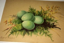 Rare Victorian American M.J.D. Hutchins Music House Advertising Trade Card! MA!