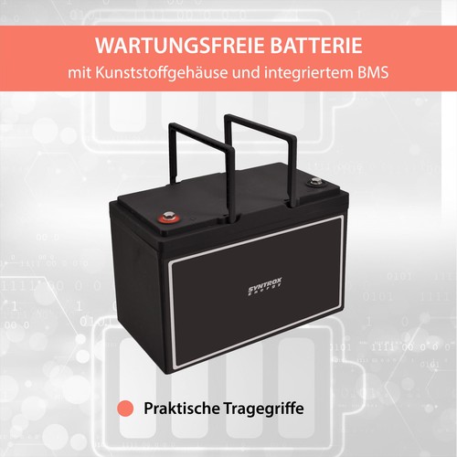 12V 80Ah LiFePO4 Akku BMS + Bluetooth / Professionell - Bild 7 von 12