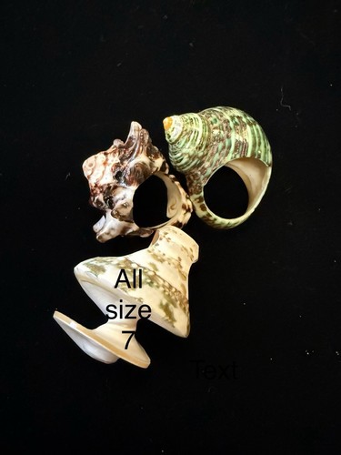 Vintage Natural Seashell Set Of 4 Rings Size 7 & 10 Multi Color. - Picture 15 of 15
