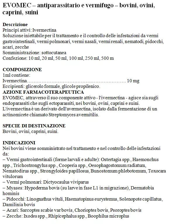 Foto 2 di 6