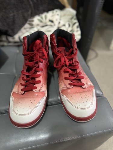 Size 14 - Nike Dunk High Supreme Spark Destroyers - 349710-101 - Picture 2 of 6