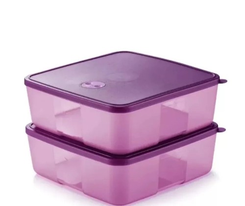 Tupperware Freezer Keeper Date Dial With Dateline Lilac And Purple Set of 2 New