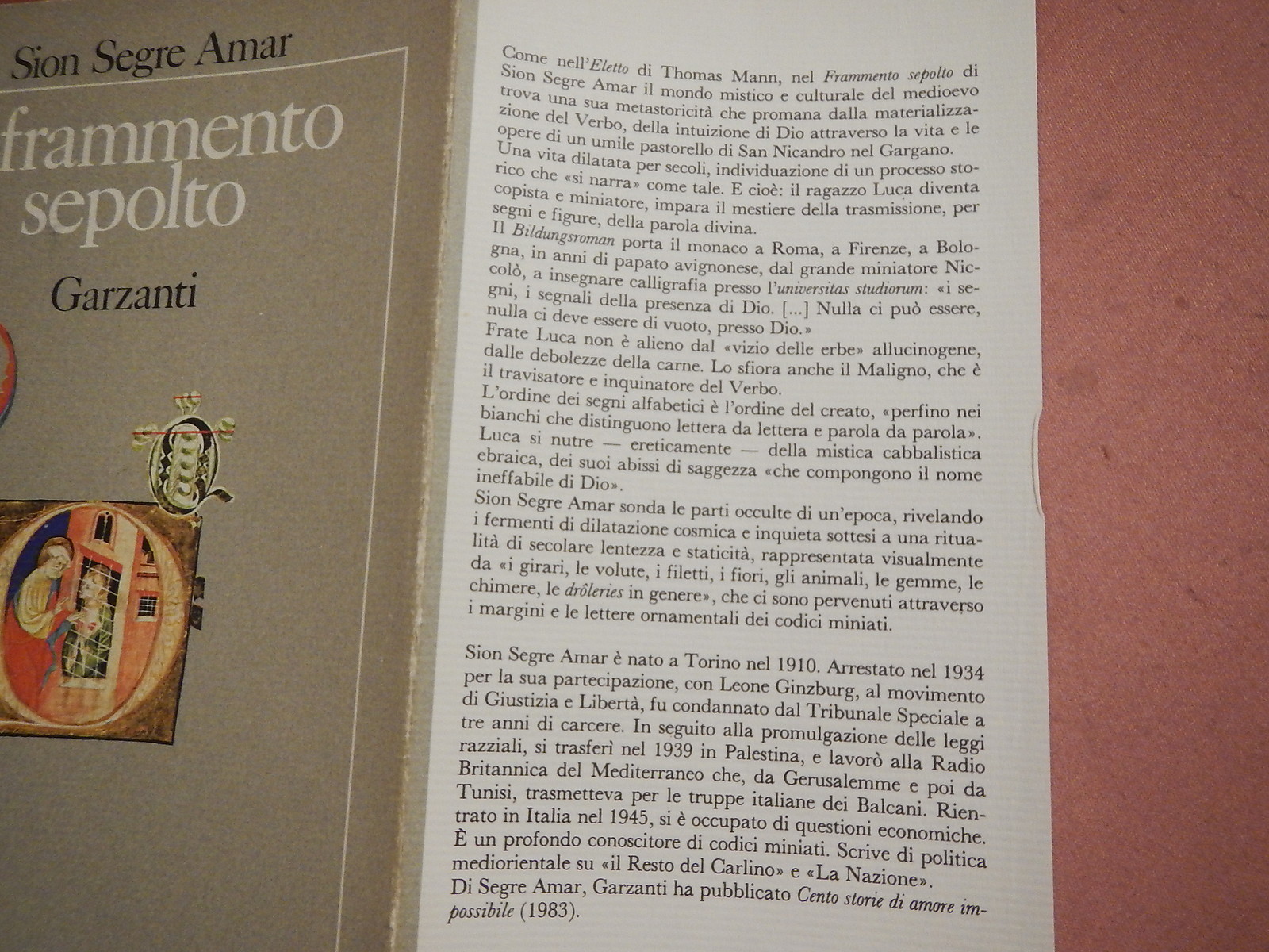 Imagen 2 de 2