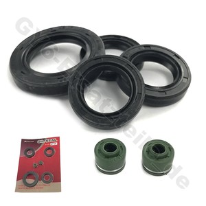 Can-Am Outlander 500 EFI Renegade 800 Ricks Stator 21-05621-056