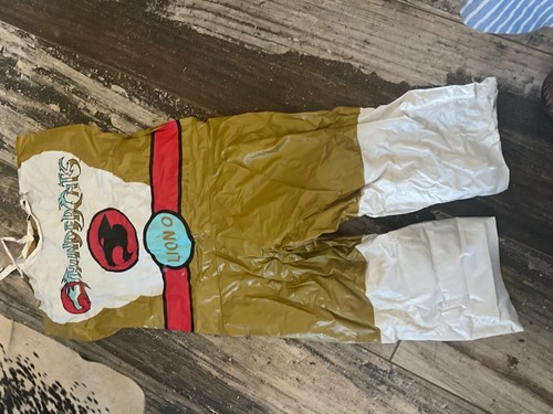 THUNDERCATS LION-O Halloween Kostüm animiert Vintage 1985 Ben Cooper - Bild 4 von 7