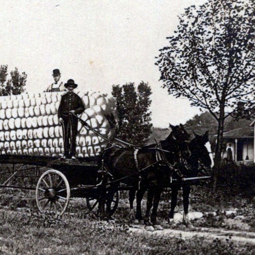 Vintage 1908 RPPC Schleppen riesiger großer Mais Pferdewagen Kansas Postkarte