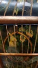 Bild 6 von 14