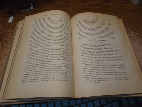 Grundzuge der Allgemeinen Pathologischen Histologie von Julius Steinhaus - 1909 - Bild 10 von 14