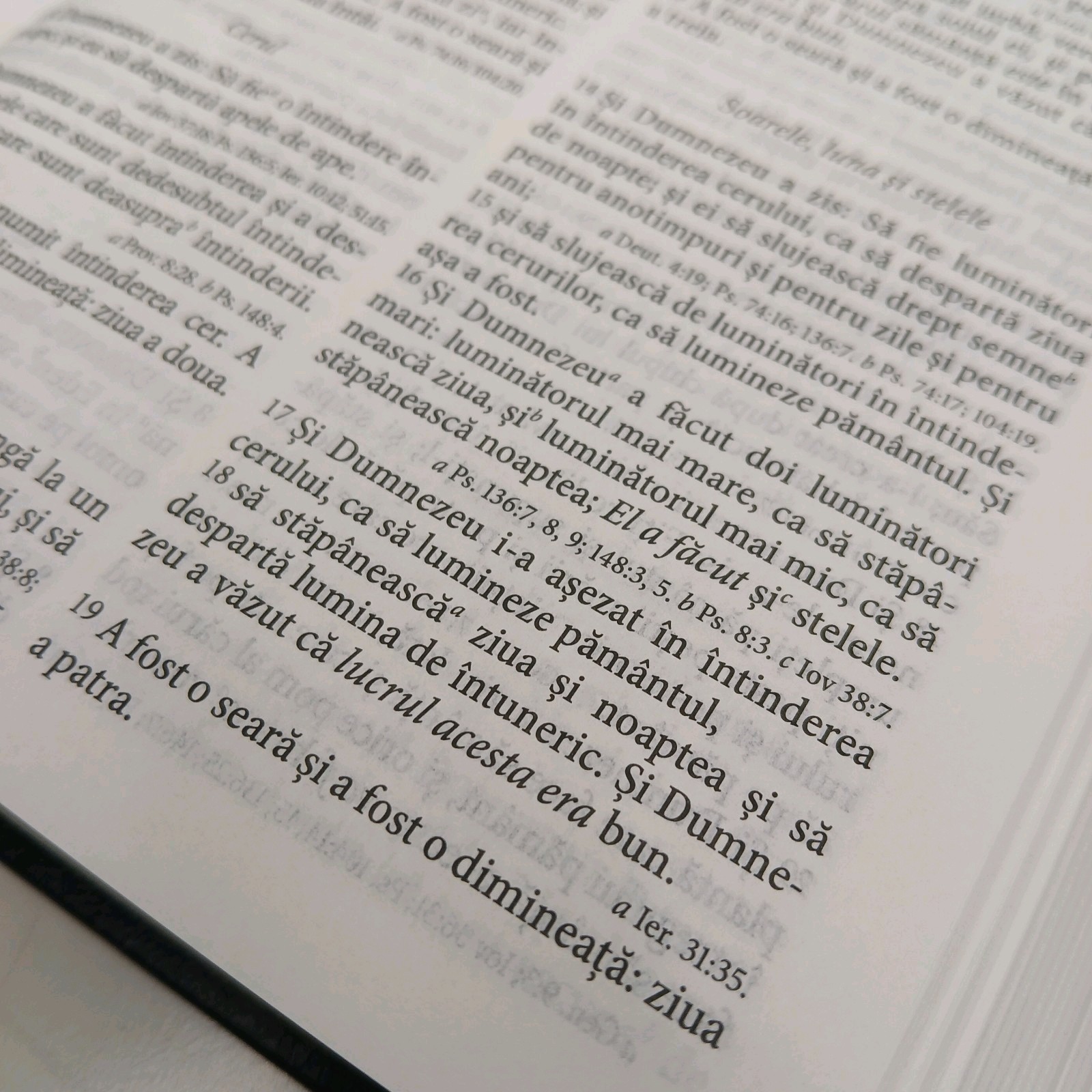 Imagen 14 de 24