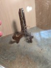 Picture 5 of 5