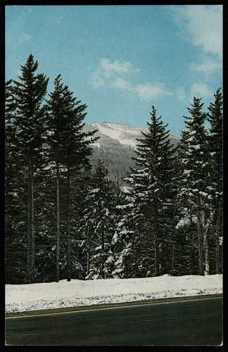 Mt Snow Vermont From Route 100 Postcard - Picture 1 of 2