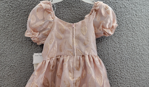 Rare Editions Puff-Sleeve Burnout Organza Dress Girls 6X Blush Back Zip Closure - Picture 13 of 17